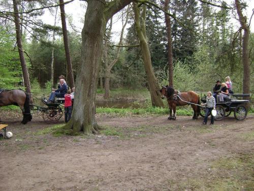 Foto general de Gutsschänke Holsterfeld