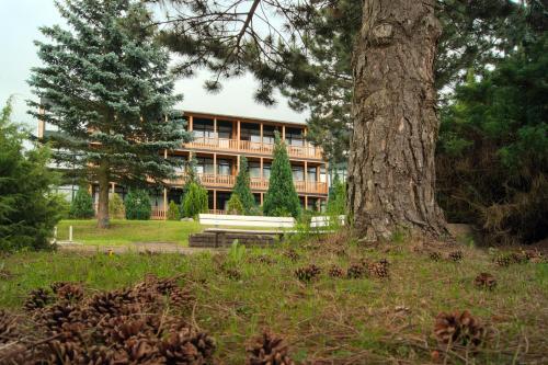 Foto general de Hotelferienanlage Friedrichsbrunn