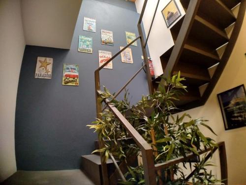 Foto general de Sardines and Friends Hostel
