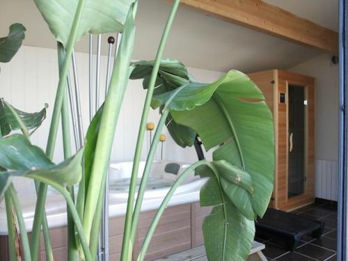 Foto general de Bed-and-Breakfast Entre Mer et Vignes