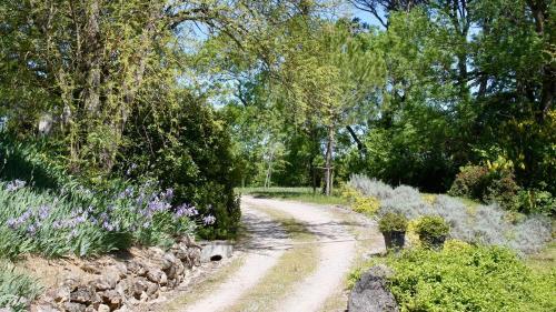 Foto de una habitación de Bed-and-Breakfast Domaine de Perches
