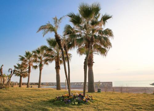 Foto general de Hotel Saint Joseph Resort