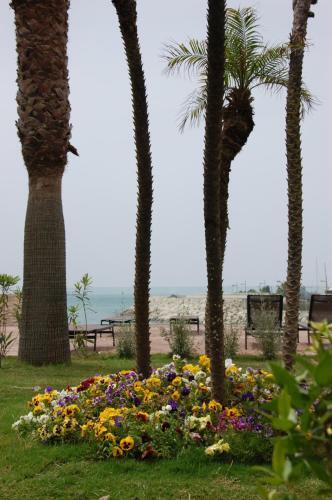 Foto general de Hotel Saint Joseph Resort