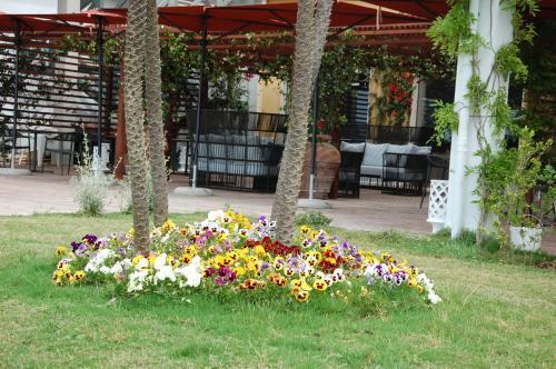 Foto general de Hotel Saint Joseph Resort