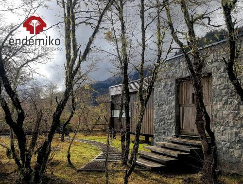 Foto de una habitación de Endemiko