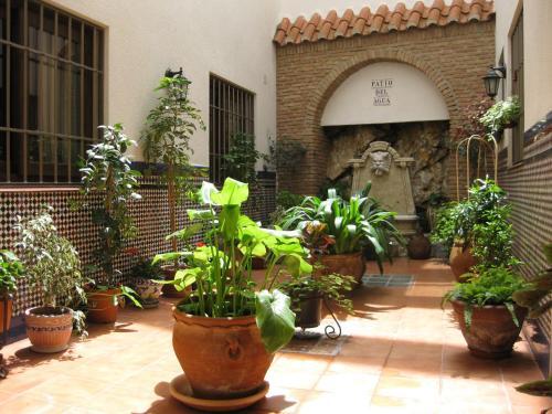 Foto general de Hostal Palomares
