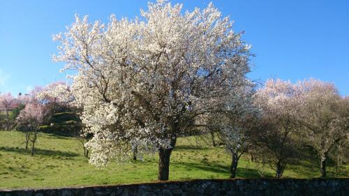 Foto general de Flor Do Douro
