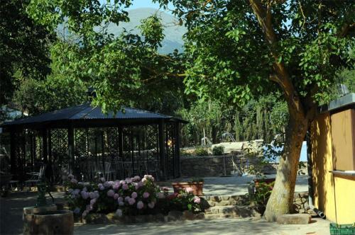 Foto general de Hotel Gomar