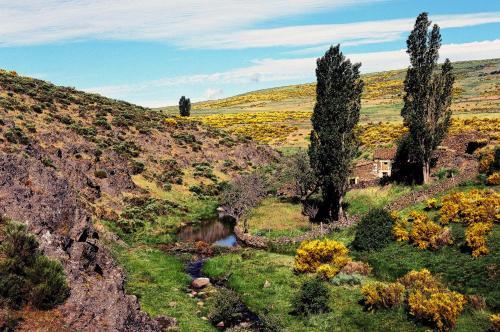 Foto de una habitación de Hotel Rural La Dehesilla