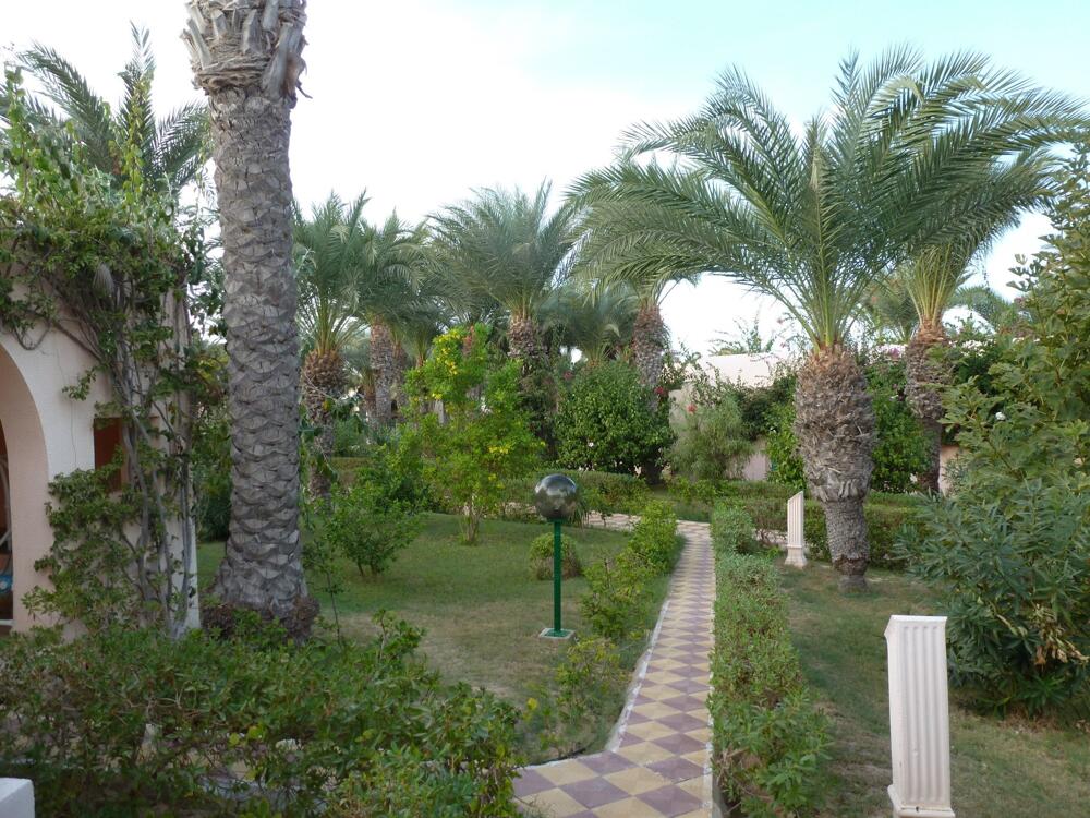 Foto general de Hotel Oasis Marine