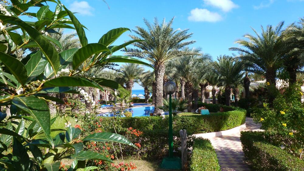 Foto general de Hotel Oasis Marine