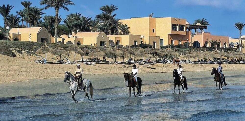 Foto general de Hotel Oasis Marine