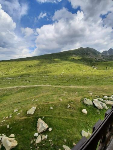 Foto de una habitación de Alquileres Vacacionales Altissim Grizzly