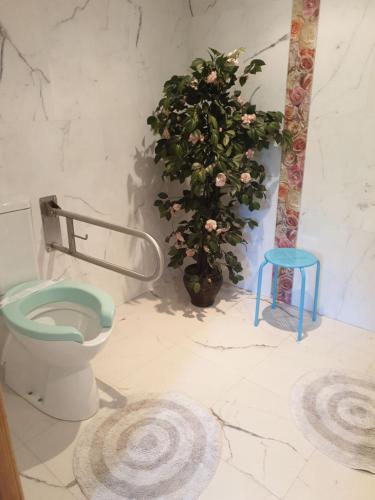 Foto de una habitación de Pension Paloma Oiartzun