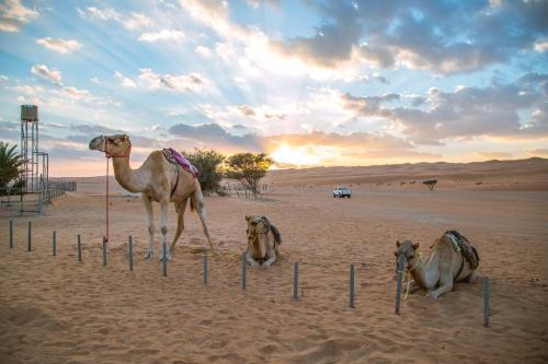 Campsite Sama al Wasil Desert Camp, Shhiq - Reserving