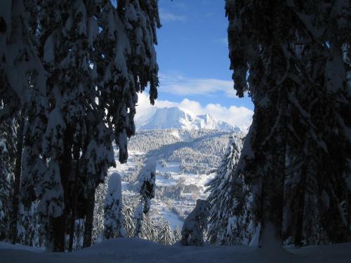 Foto general de Alp-Hôtel