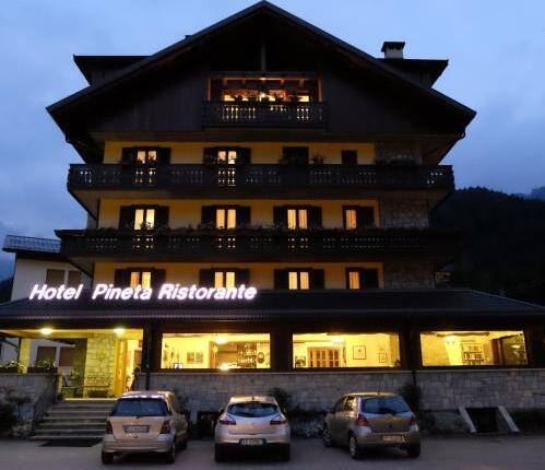 Foto general de Hotel Pineta