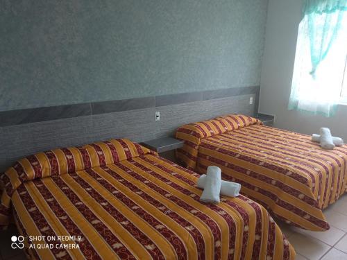 Foto general de Hotel Albatros