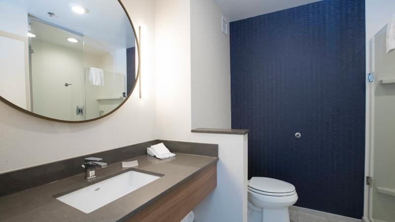 Foto general de Hotel Fairfield Inn &amp;amp; Suites by Marriott Philadelphia Valley Forge/Great Valley