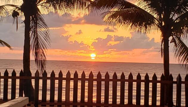 Foto de Pal&apos;s on the beach - A Garifuna Gold Standard Hotel