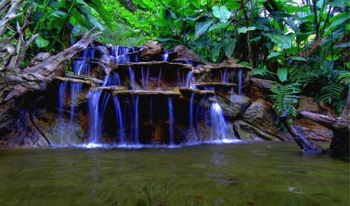 Photo – Hotel Mango Valley