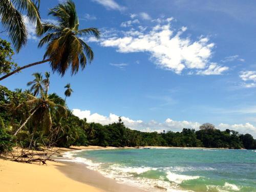 Foto general de Physis Caribbean Bed &amp;amp; Breakfast