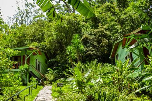 Foto general de Hotel Jaguarundi Lodge - Monteverde