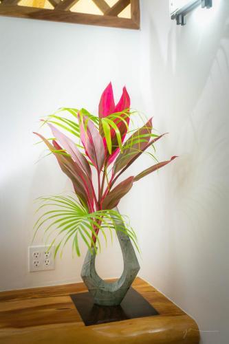 Foto de una habitación de Passion Fruit Lodge