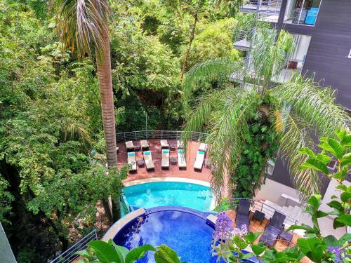 Foto general de Jungle Vista Boutique Hotel