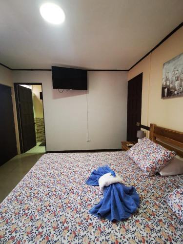 Foto de una habitación de Toucan Hostel