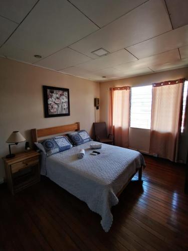 Foto de una habitación de Toucan Hostel