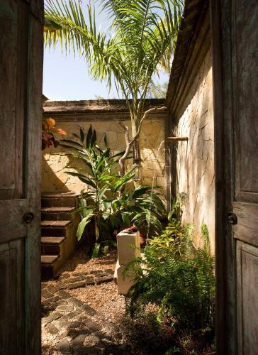 Foto de una habitación de Complejo Turtle Inn