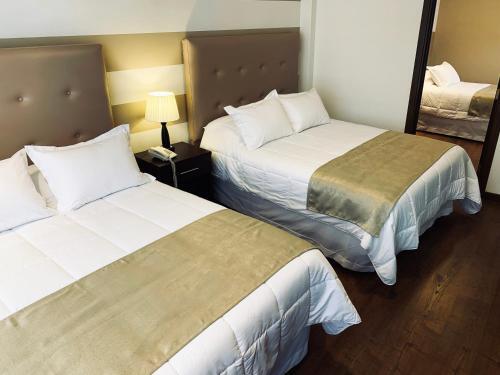 Foto general de Hotel Domani