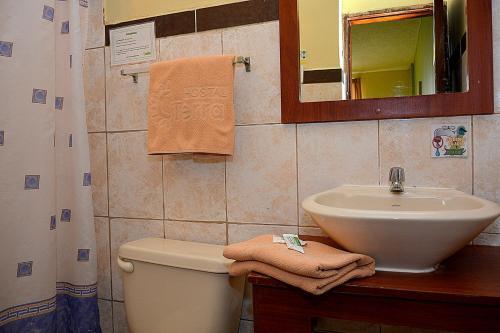 Foto general de Hostal Terra 3