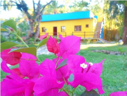 Foto general de Livingston Resort Hotel