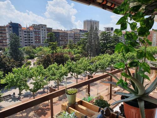 Foto de una habitación de Pensión Espolón De Logroño