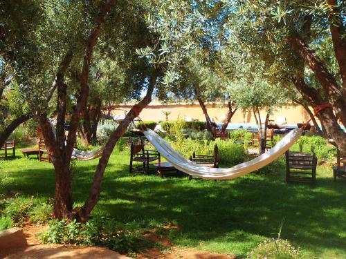 Foto general de Les Jardins de Skoura