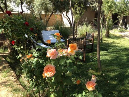 Foto general de Les Jardins de Skoura
