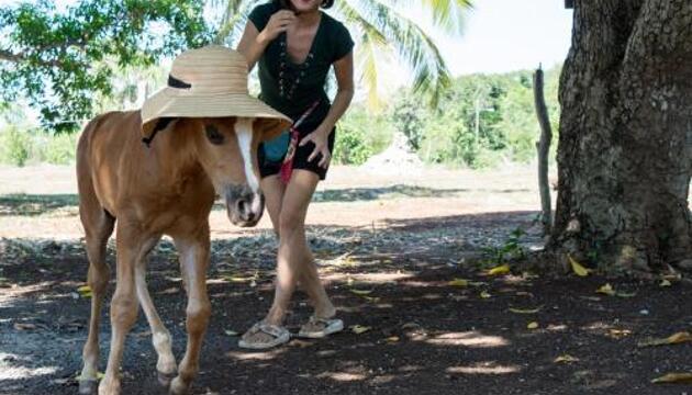 Foto de Hotel Horse Cottage