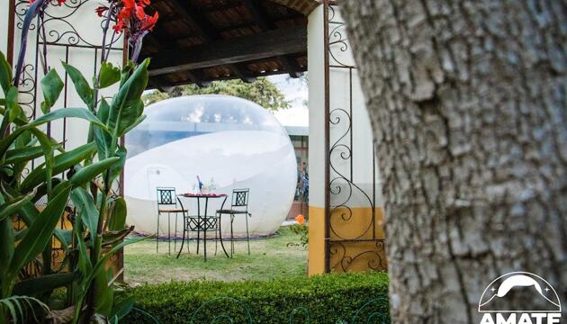 Foto de Glamping Amate - Hotel Burbuja Tlaxcala