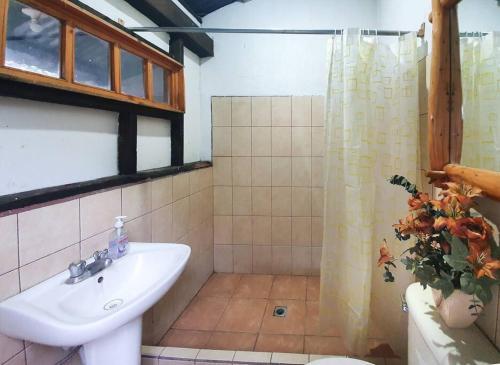 Foto de una habitación de Casas y chalets Mountain Cabin with Volcano Views