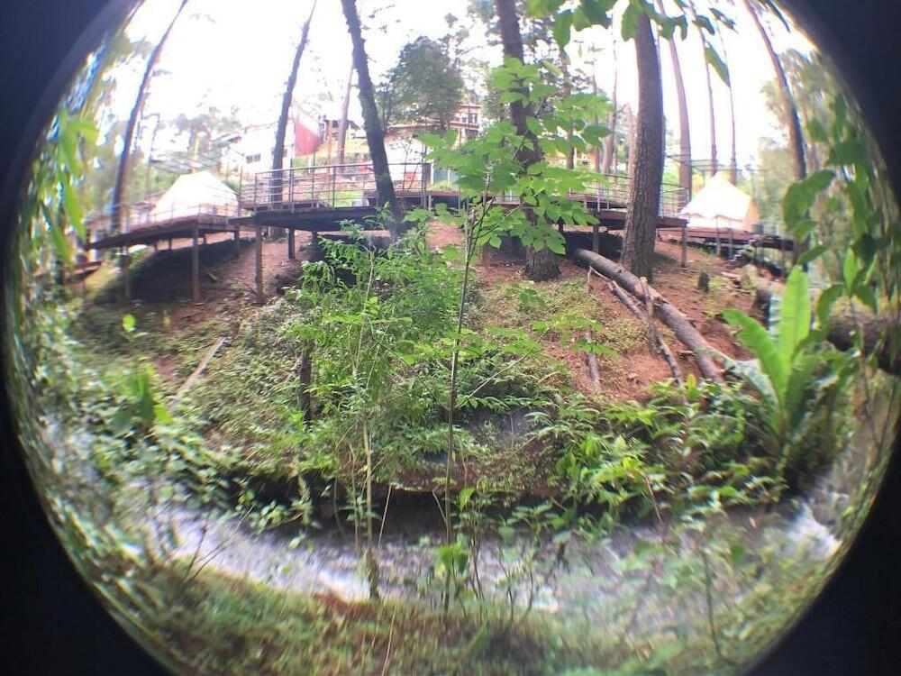 Foto general de Glamping Rio Valle de Bravo