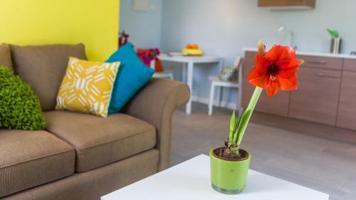 Foto de una habitación de Aparthotel Bubali Bliss Studios