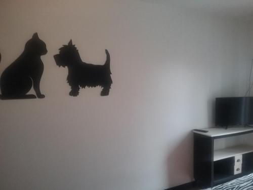 Foto de una habitación de Hostal La Carretera
