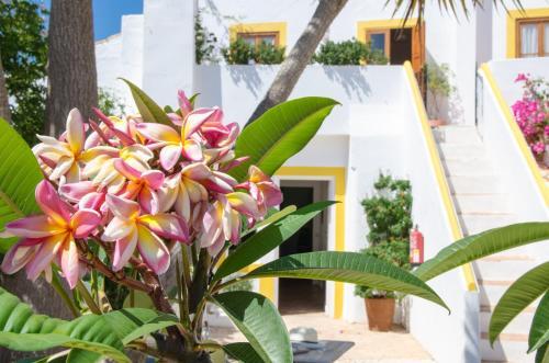 Foto del exterior de Rio Arade Algarve Manor House