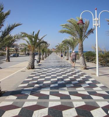 Foto general de Apartamentos Arenales Playa Mar Holidays