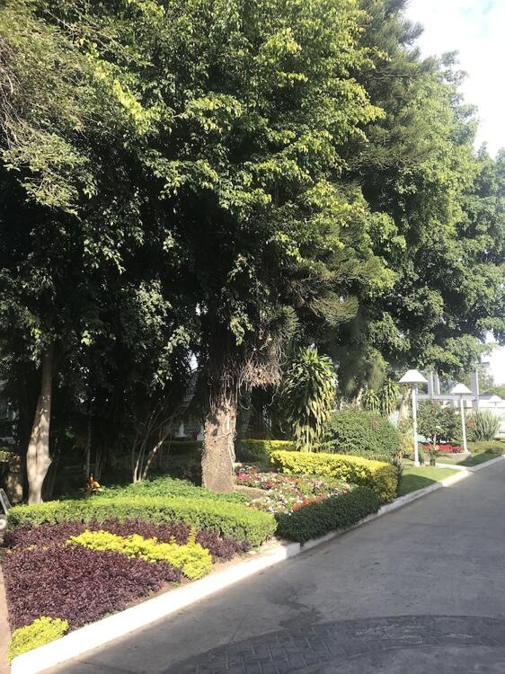 Foto del entorno de Hotel Ronda Minerva - Arborea
