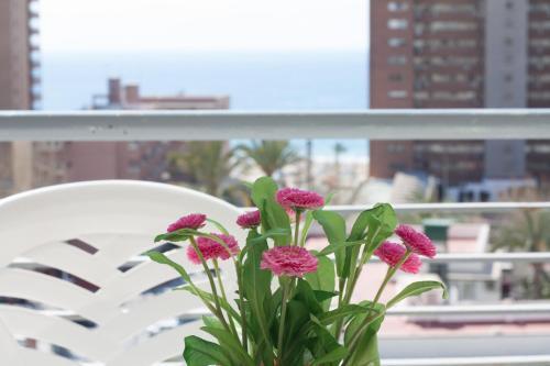 Foto de una habitación de Apartamentos Niza