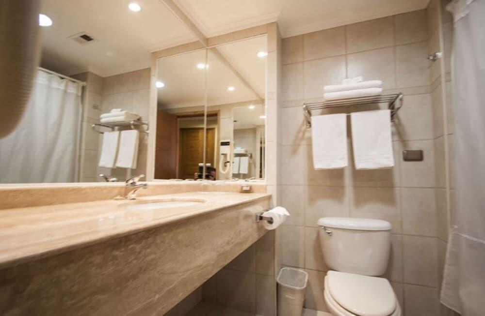Foto del baño de Hotel Diego De Almagro Rancagua