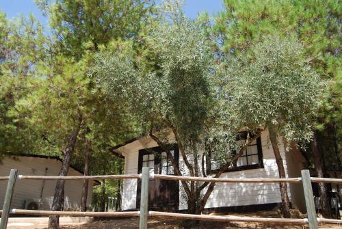 Foto general de Camping Valdearenas